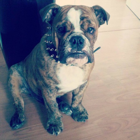 beefy aka call for love