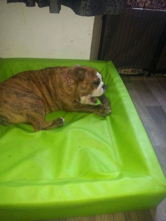 coco aka coco chanel