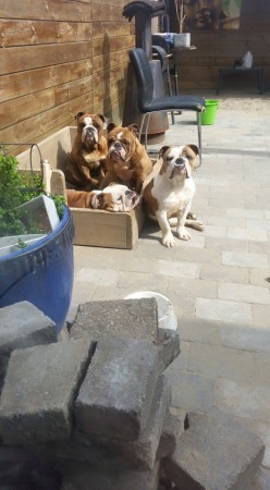 malie met pa en ma en oudere zus