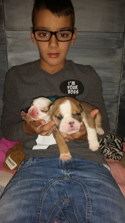 pup van 1 dag oud en de andere pup 2 weken oud 